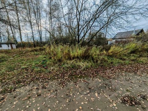 derevnya-zolotovo-gorodskoy-okrug-bor фото