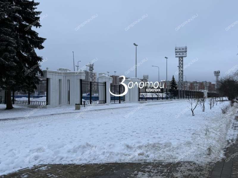 трёхкомнатная квартира на улице Челюскинцев дом 19