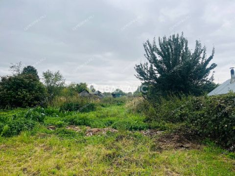 dom-selo-hvoshhevka-bogorodskiy-municipalnyy-okrug фото