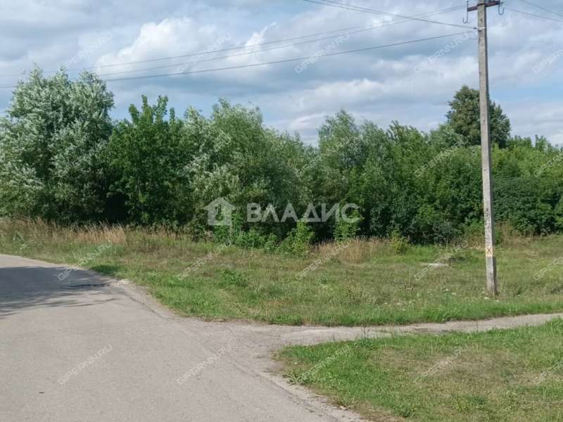 земельный участок 22 сотки Забайкальская улица рабочий посёлок Шатки