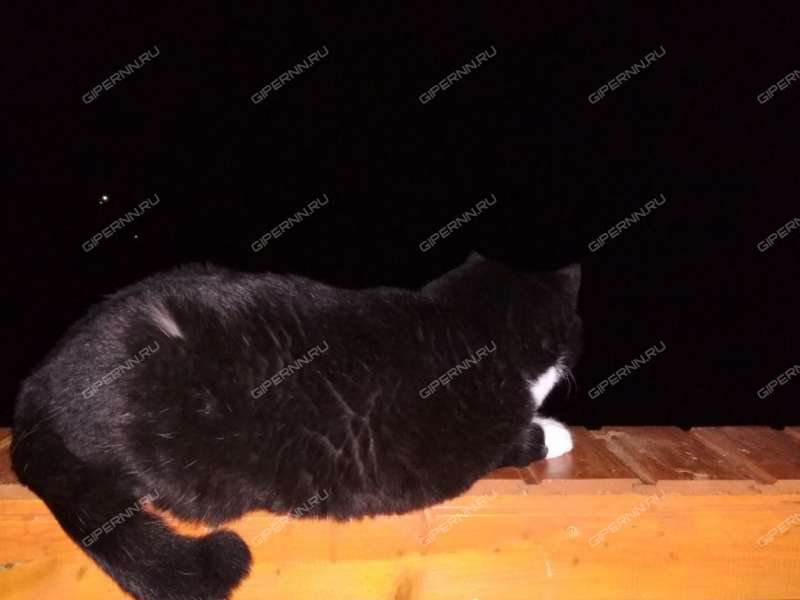 земельный участок 10,5 сотки посёлок Селекционной станции