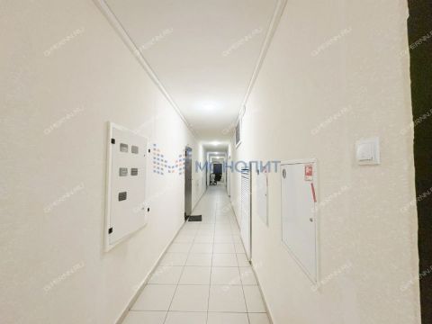 1-komnatnaya-derevnya-ankudinovka-kstovskiy-rayon фото