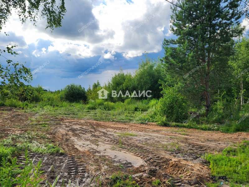 земельный участок 9,96 сотки 24Б деревня Чистяки