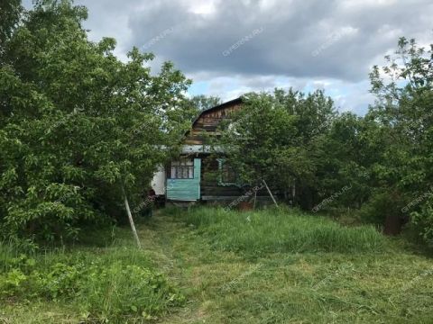 dacha-snt-n4-aviator-balahninskiy-municipalnyy-okrug фото