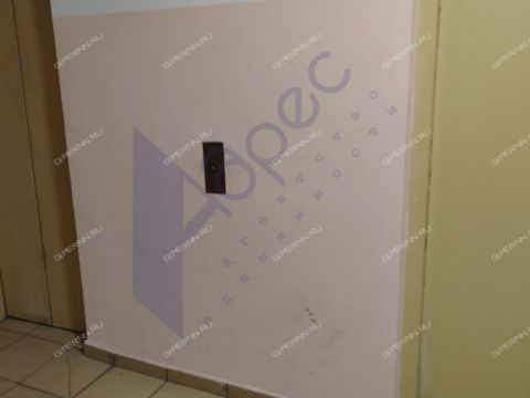 1-komnatnaya-derevnya-afonino-kstovskiy-rayon фото