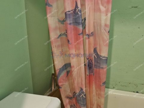 1-komnatnaya-selo-rabotki-kstovskiy-rayon фото