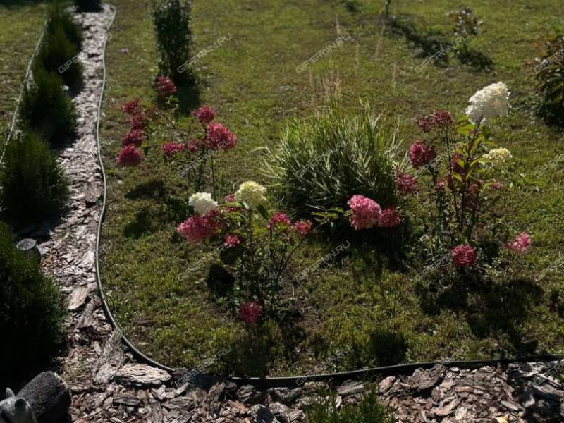 дом на СНТ Корабел