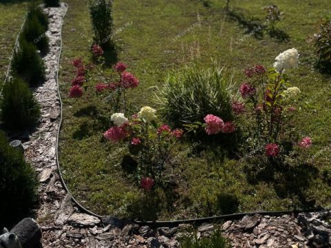 dom-snt-korabel-balahninskiy-municipalnyy-okrug фото