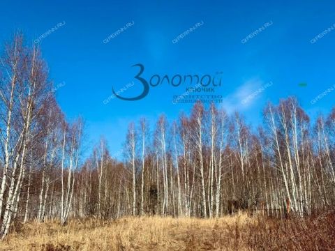 dom-derevnya-tugarino-gorodskoy-okrug-bor фото