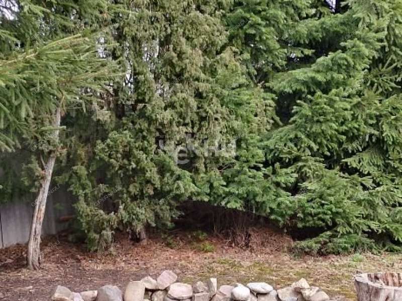 дом на Агрономической улице