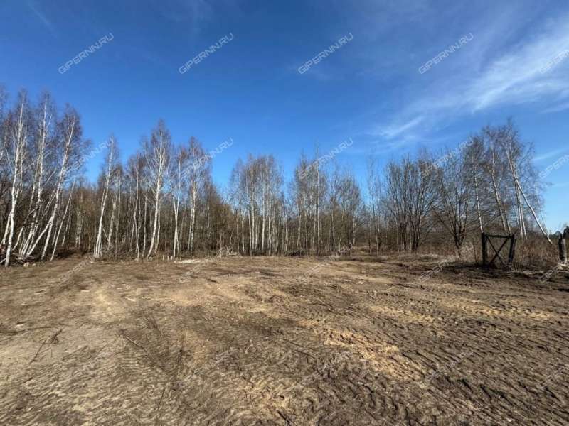 земельный участок 12,5 сотки деревня Заборье