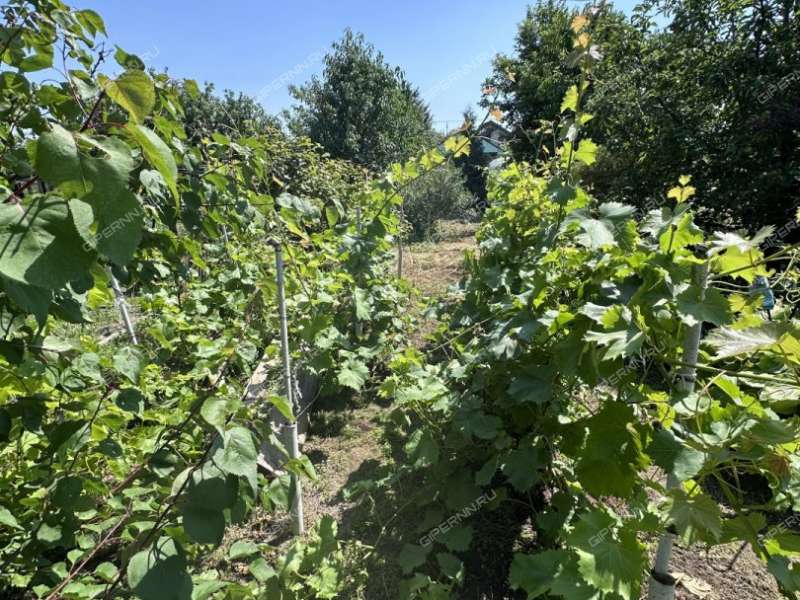 дача на СНТ Приволжье-2 сад город Кстово