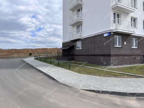 derevnya-novinki-bogorodskiy-municipalnyy-okrug фото