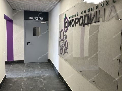 1-komnatnaya-poselok-parysheva-ul-zelenhozovskaya-d-1 фото