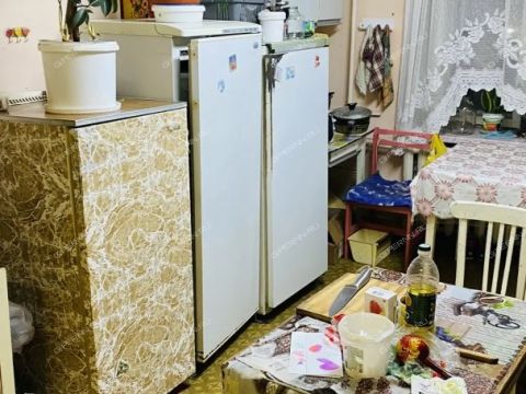 ul-yuliusa-fuchika-d-12 фото