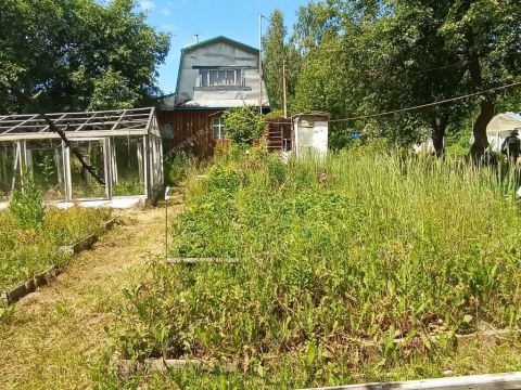 dacha-st-n12-yagodnoe-bogorodskiy-municipalnyy-okrug фото