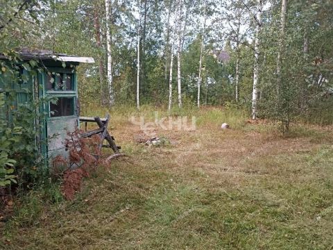 dacha-derevnya-uspene-semenovskiy-gorodskoy-okrug фото