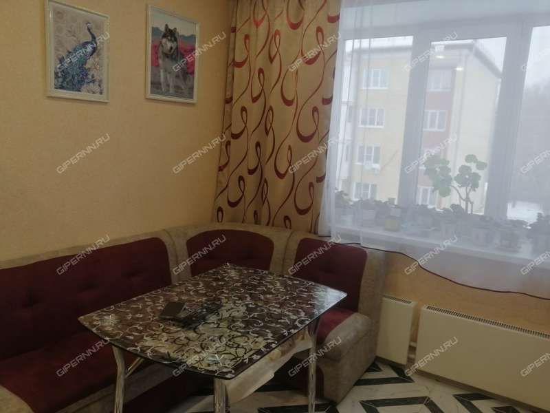 трёхкомнатная квартира в Дружном посёлке дом 12 посёлок Дружный