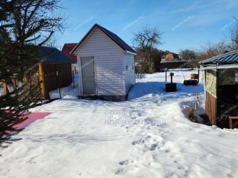 dacha-gorod-bor-gorodskoy-okrug-bor фото