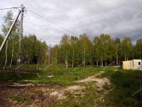 derevnya-churkino-zinyakovskiy-selsovet-gorodeckiy-rayon фото