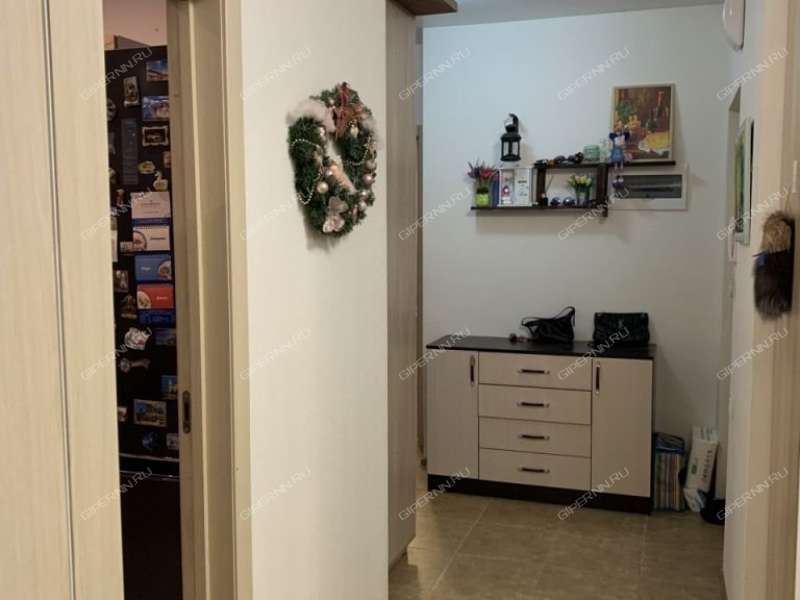 двухкомнатная квартира на Русской улице улице дом 9 деревня Анкудиновка