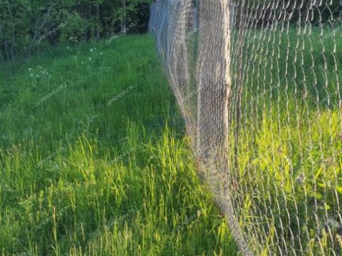 derevnya-moshkino-brilyakovskiy-selsovet-gorodeckiy-rayon фото