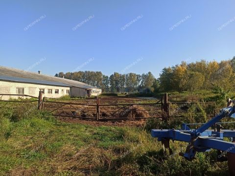 selo-redkino-gorodskoy-okrug-bor фото