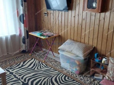 dacha-derevnya-prudy-pavlovskiy-municipalnyy-okrug фото