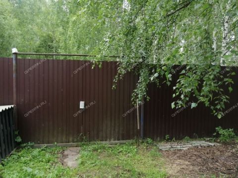 derevnya-lindo-pustyn-gorodskoy-okrug-bor фото