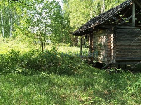 derevnya-ryabinki-gorodskoy-okrug-bor фото
