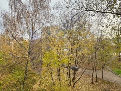 1-komnatnaya-prosp-lenina-d-28v фото