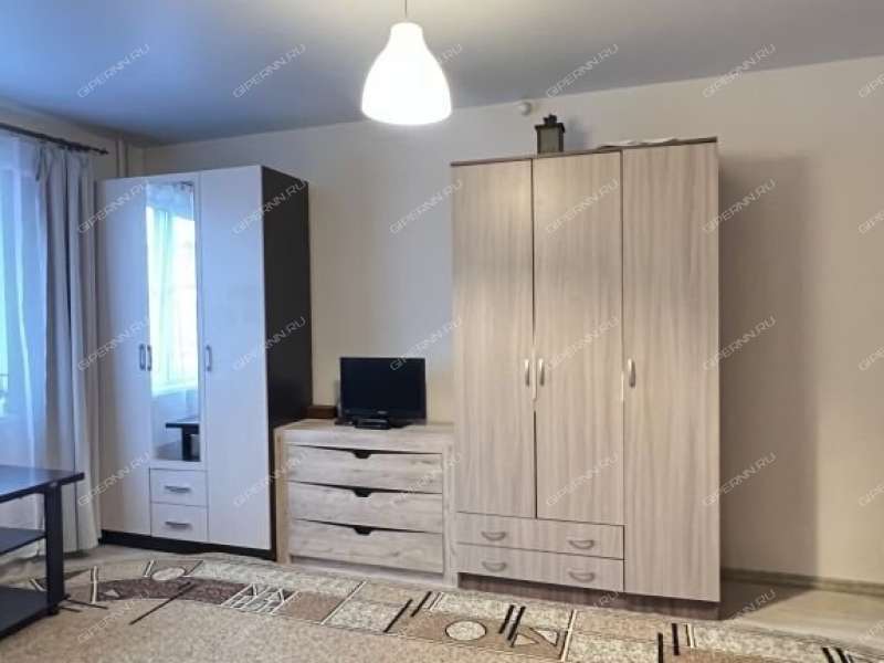 однокомнатная квартира на улице Бориса Видяева дом 14