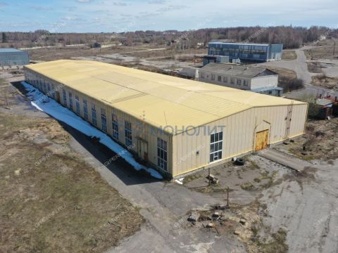 surovatiha-poselok-snt-dalnekonstantinovskiy-rayon фото