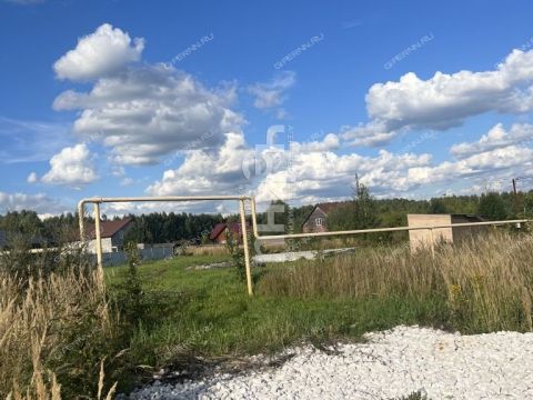 derevnya-shumilovo-bogorodskiy-municipalnyy-okrug фото