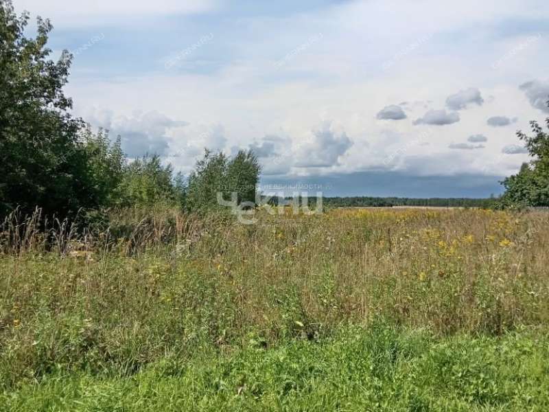 земельный участок 20 соток деревня Гришманово