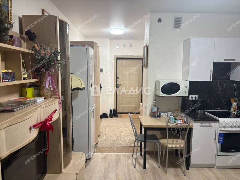 квартира-студия на Русской улице улице дом 19 деревня Анкудиновка