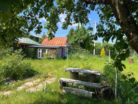 dacha фото