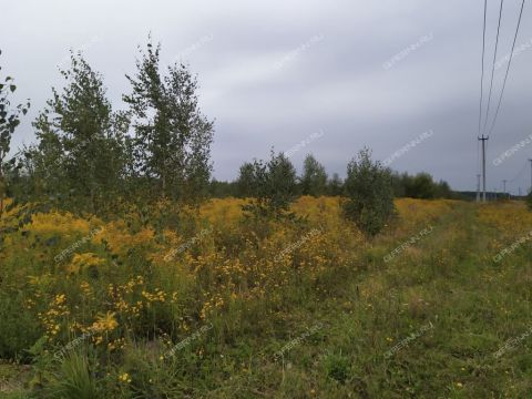 derevnya-kileley-bogorodskiy-municipalnyy-okrug фото