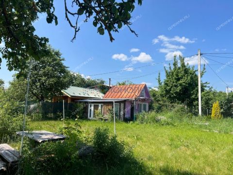 dacha фото