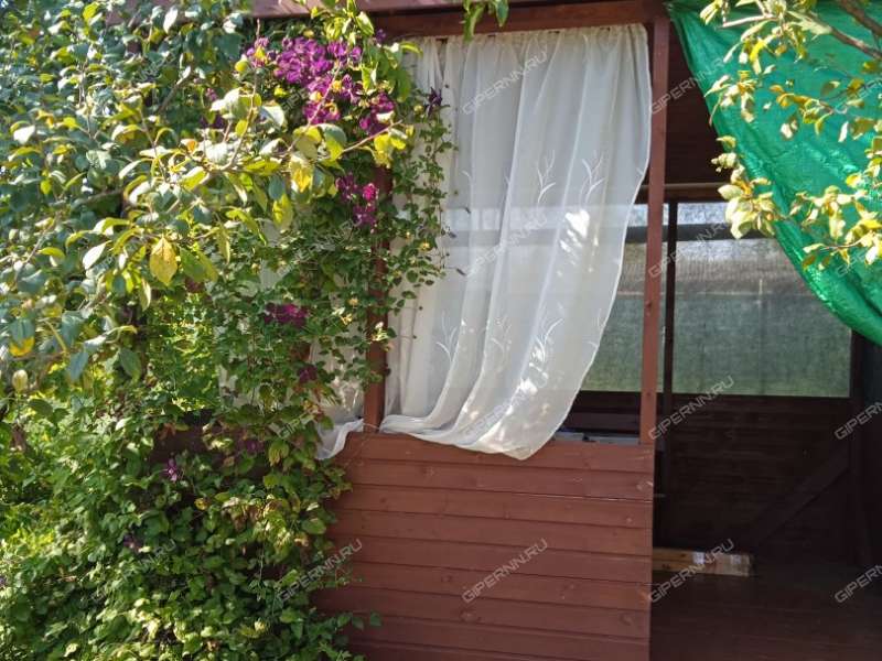 дача на СНТ Надежда