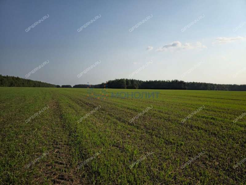 земельный участок под сельхоз назначение в Дальнеконстантиновском районе Нижегородской области