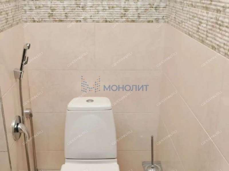 двухкомнатная квартира на улице Германа Лопатина дом 12 к1