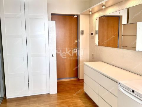 2-komnatnaya-ul-brinskogo-d-6 фото