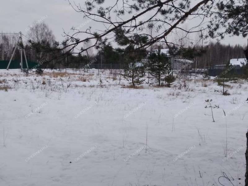 земельный участок 10,1 сотки Березовая пойма п