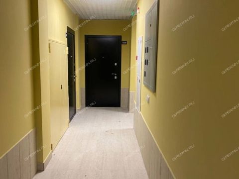 kvartira-studiya-ul-iyulskih-dney-d-11 фото