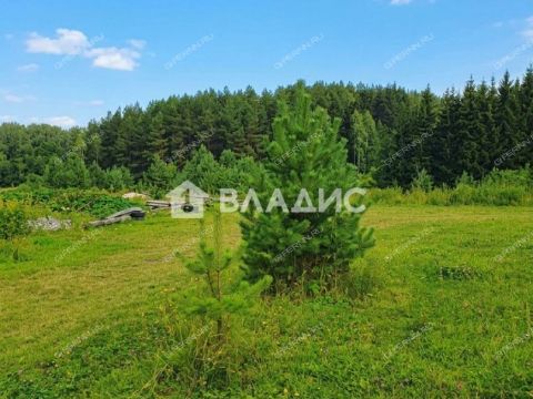 kottedzhnyy-poselok-snegiri-bogorodskiy-municipalnyy-okrug фото