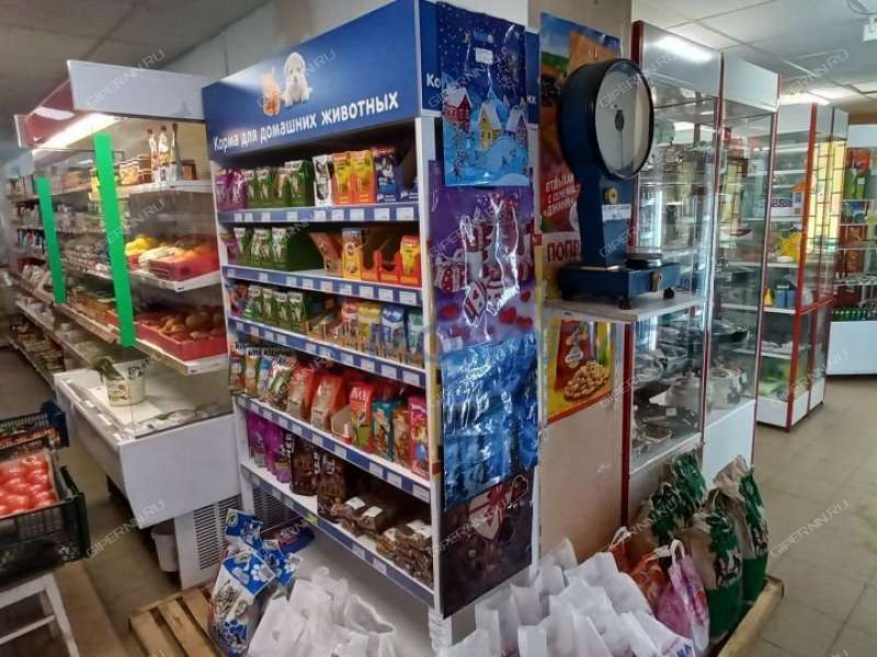 помещение под торговую площадь, недвижимость под общепит на улице Аллея Ильича город Павлово