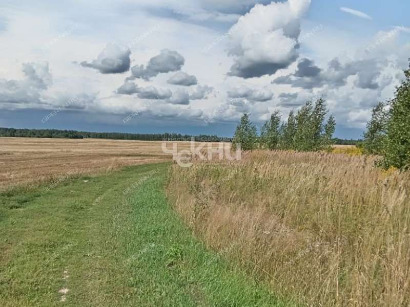 земельный участок 20 соток деревня Гришманово