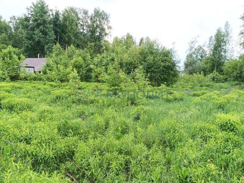 земельный участок 11,65 сотки Центральная улица село Останкино