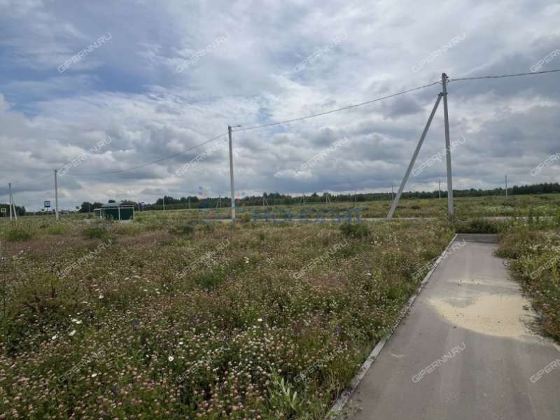 земельный участок 8 соток Краснослободская улица деревня Красная Слобода (Краснослободский сельсовет